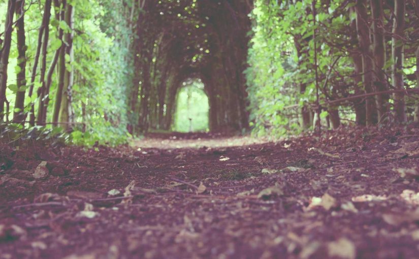 How Artificial Intelligence is Changing the Entertainment Industry