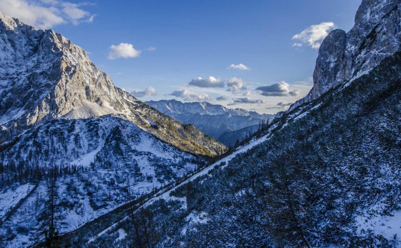 Artificial Intelligence & Job Loss: Is there a Connection?