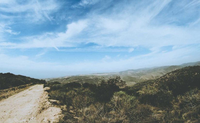 AI: A Catalyst for Digital Transformation