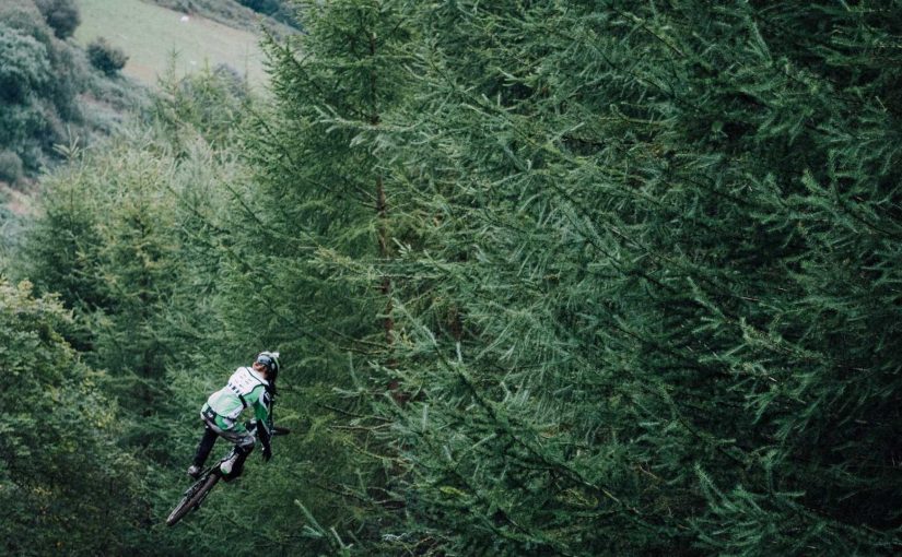 The Use of AI in Talent Acquisition