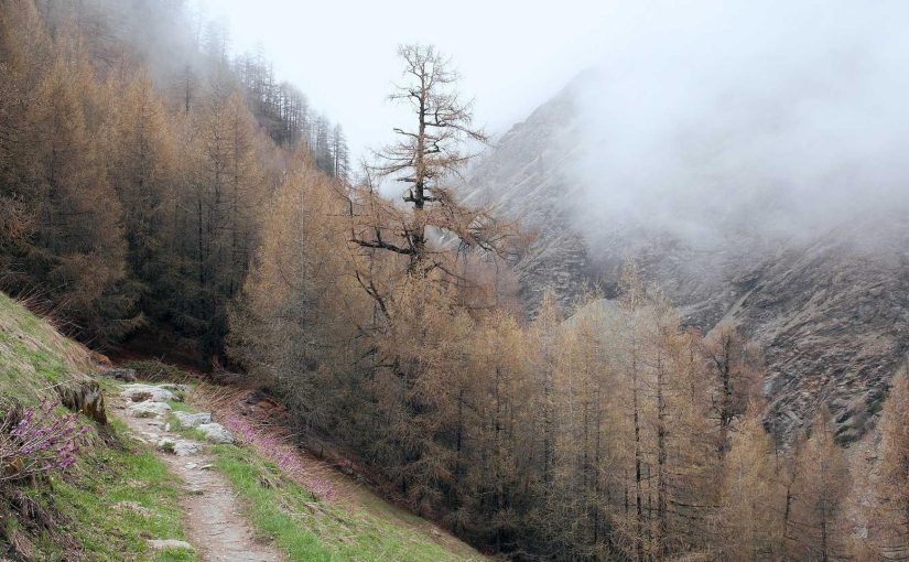 AI in Everyday Life: Sooner Than You Think