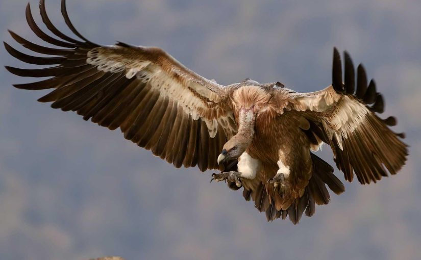 The Ethical Implications of Artificial Intelligence