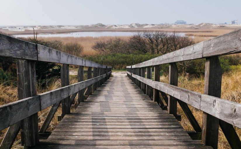 How Artificial Intelligence Will Shape the Future Job Market