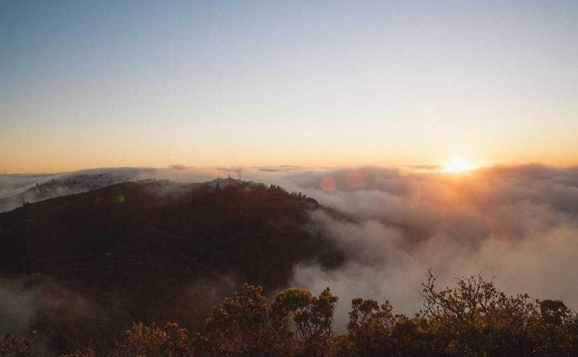 5 Reasons Why Your Business Needs AI