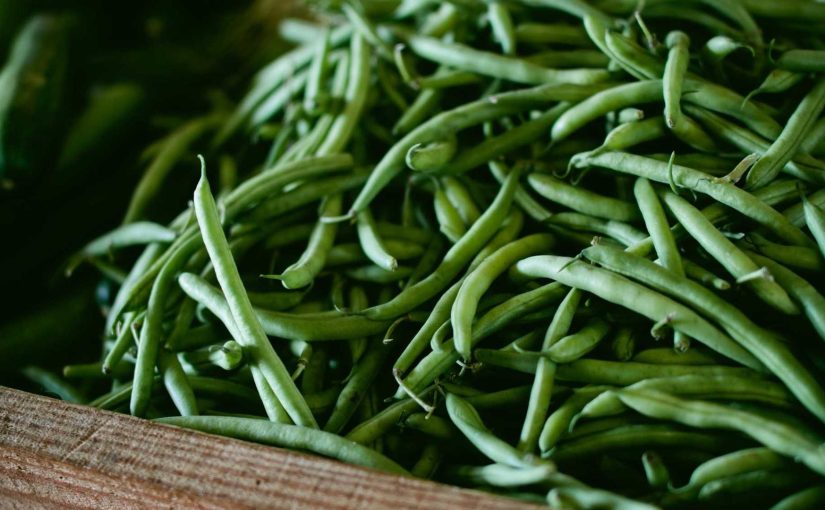 AI & AR: The Future of eLearning