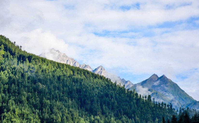 AI and Big Data: A Powerful Combination for Future Growth