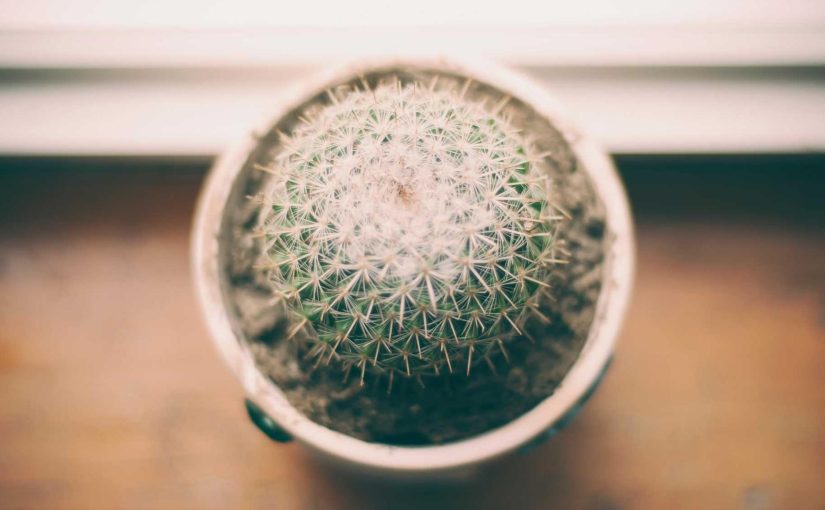 Artificial Intelligence vs