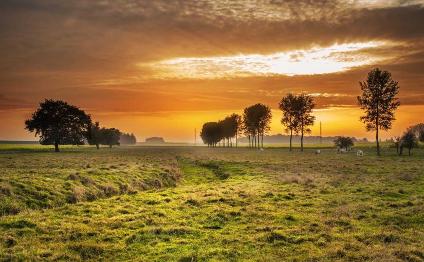 How AI is Revolutionizing eCommerce