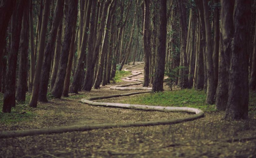 Artificial Intelligence: A Solution to Climate Change?