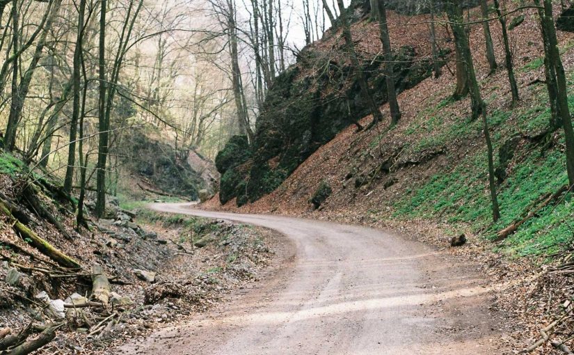 AI’s Role in Enhancing Business Intelligence