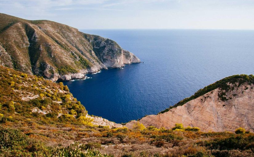 The Intriguing Connection Between AI and Quantum Computing