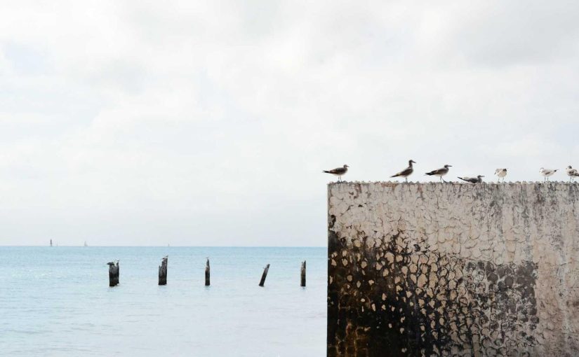 Artificial Intelligence: Potential vs Challenges