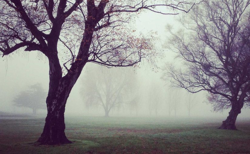 Involving AI in Data Analysis and Predictive Analytics