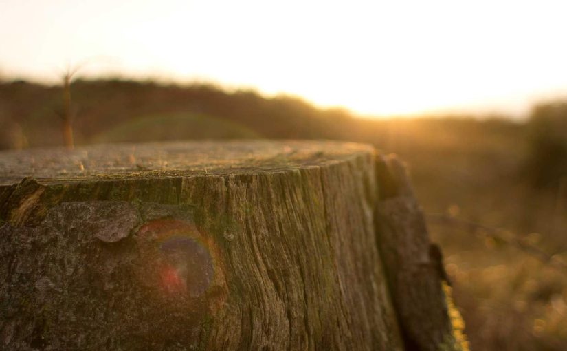 The Non-Technical Guide to Understanding AI