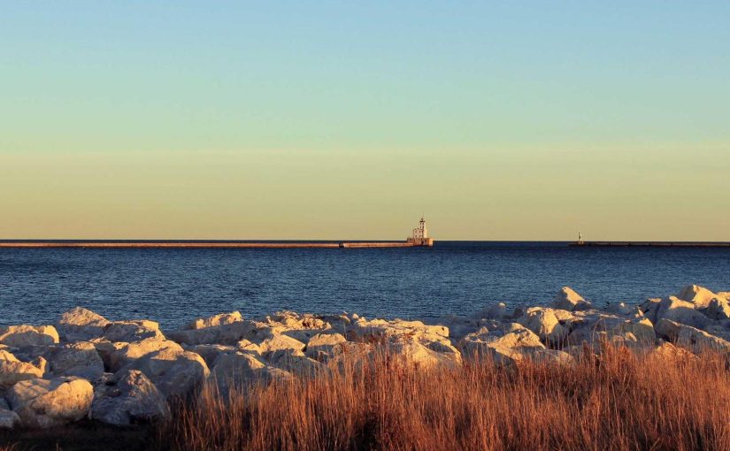 Harnessing Artificial Intelligence for Business Growth