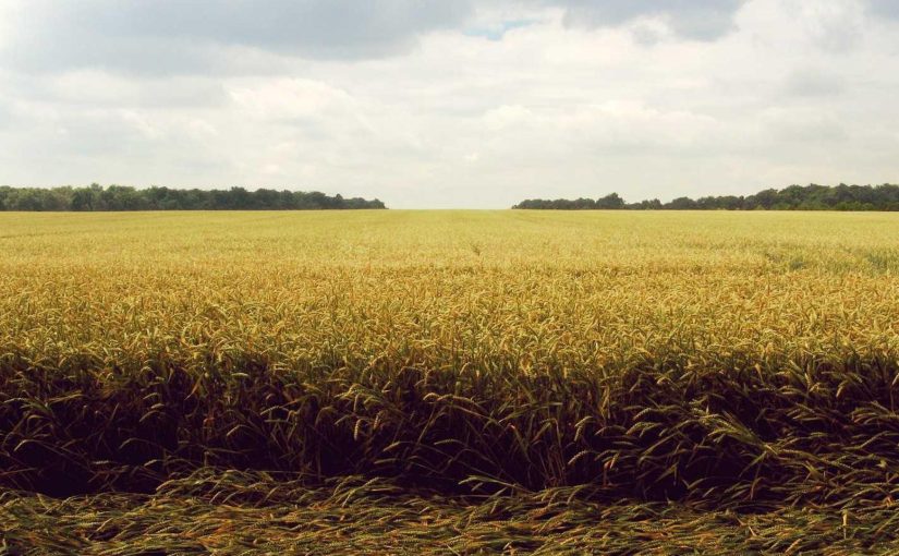 AI in Space Exploration: Breakthroughs & Benefits