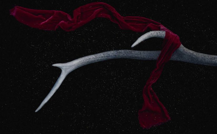 Can AI Outsmart Human Intelligence?